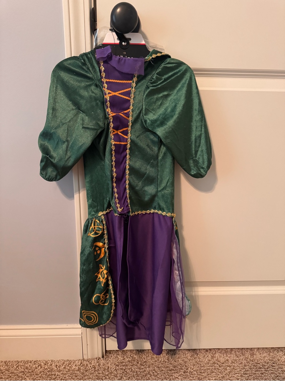 Rubies Disney Hocus Pocus Winifred Sanderson Costume for Dogs or Cats (XL)